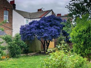 Charming 2-Bed Home in Eastbourne near seafront - Eastbourne - 3