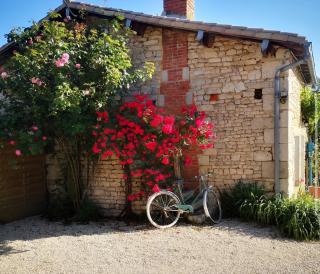 Chalet Nature & chiens de traîneaux - Échiré - 0