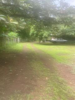 Quinta el Refugio - Masaya - 3