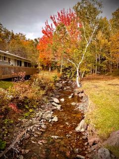 Aberdeen Motel - Whycocomagh - 6