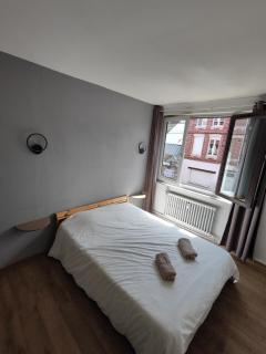 Center of Lille, apartment with garage - Lille - 7