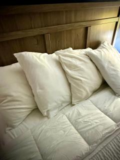Aberdeen Motel - Whycocomagh - 2