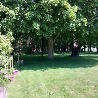 Maison Le Clos Nalet - Matignon - 3