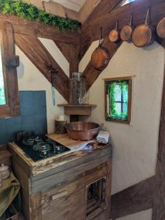 La Cabane du Druide Karvalan - Pagny-sur-Moselle - 3