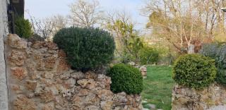 Le Coq De Champagne - Dormans - 4