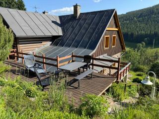 Apartment in Pec pod Snezkou 2098 - Velká Úpa - 9