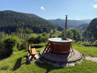 Apartment in Pec pod Snezkou 2098 - 6