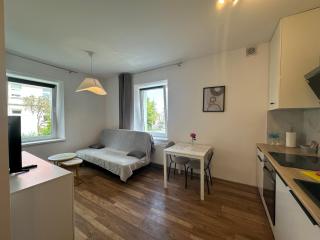 Sukces Apartament przy deptaku - Szczawno-Zdrój - 9