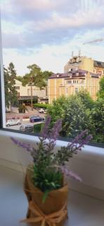 Apartman Marta - Vrnjačka Banja - 8