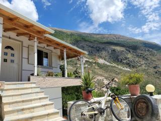 Shtepi pushimi - Tepelenë - 2