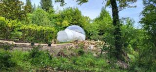 Les Bulles Du Coq De Champagne - Dormans - 6