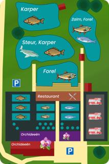 Forelwereld camping Luttelgeest aan zee vlak bij Giethoorn ,Lemmer ,Urk - Luttelgeest - 2