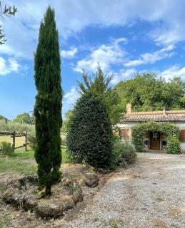Maremma Country Chic Le Ginestre - Sovana - 5