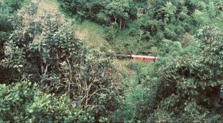 Eleven eleven cafe and resort - Badulla - 0