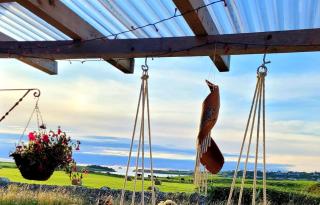 Country Cottage, Stunning Views - Tralee - 1