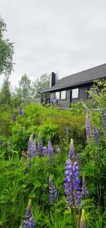 Fidjeland 61 - Tjørhom - 7
