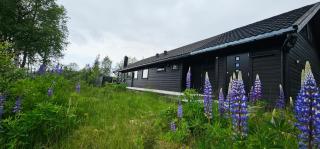 Fidjeland 61 - Tjørhom - 8