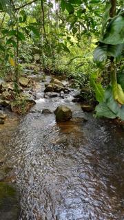 Cabaña Rústica la Paz de Río Celeste - Rio Celeste - 4