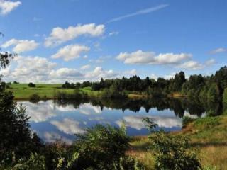 Chalet Edelweiss au cœur de la nature vosgienne - 3