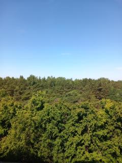 Sunny Ventspils 26 - Ventspils - 1