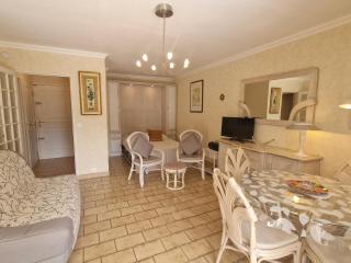 Studio à Sainte-Maxime avec piscine, climatisation, parking et animaux admis - FR-1-780-95 - Sainte-Maxime - 3