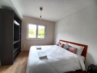 Maison neuve 4 chambres à Soulzbach - FR-1-744-46 - Soultzbach-les-Bains - 7