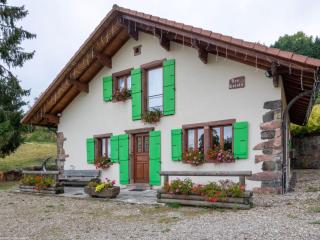 Gîte chaleureux dans les Vosges avec cheminée - FR-1-583-437 - Belfahy - 0