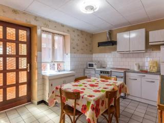 Maison de charme à Fougerolles, idéale pour curistes - FR-1-583-397 - Fougerolles - 3