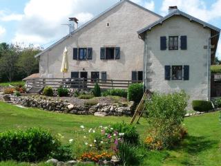 Gîte La Chapelle Pleine Nature, Animaux Bienvenus - FR-1-583-420 - La Rosière - 0