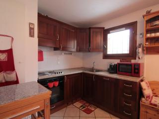 Appartement 2 pièces avec parking, au centre, proche commerces et pistes - FR-1-572-3 - Les Carroz d'Araches - 4