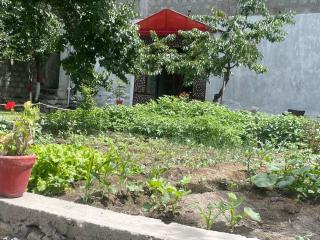 Istanbul Guest House Skardu - Skardu - 4