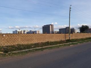 Zanzi - Nairobi - 3