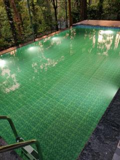 Aambal 2 Bedroom Private Pool Villa by Veda Retreat - Wayanad - 5
