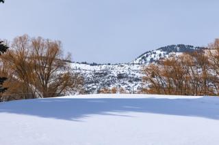 Tobelmann's Top - Newly remodeled - Park City - 4