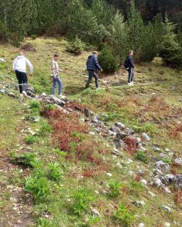 Guest House Qafe Dardha - Tomorr National Park - Dardhë - 9