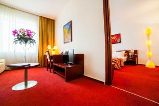 Premier Kraków Hotel - Krakau - 6
