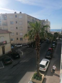 le miami - Palavas-les-Flots - 1