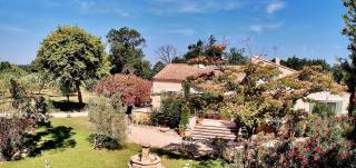 Domaine Au Coeur des Alpilles - Maussane les Alpilles - 6