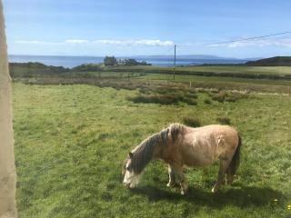 Cnocanreoch Farm Glamping - Kilmory - 0