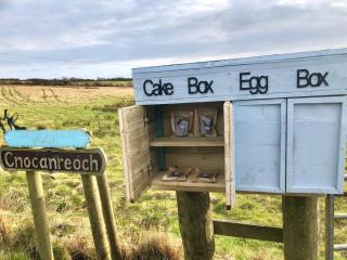 Cnocanreoch Farm Glamping - Kilmory - 8