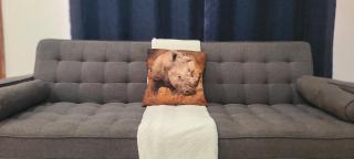 White Rhino apartments & tours - Livingstone - 6