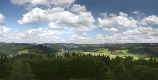 Landhotel Pingel - Sundern - 8