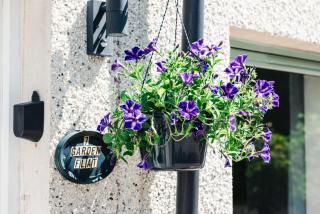 Stylish Garden Flat Near Loch Ness - Drumnadrochit - 8