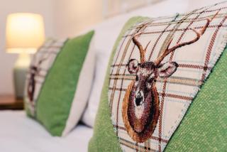 Stylish Garden Flat Near Loch Ness - Drumnadrochit - 1