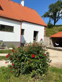 Apartmány U Procházků - Český Krumlov - 5
