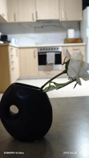 Bills house - Nea Makri - 4