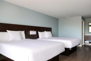 Florence Inn and Suites - Florence - 8