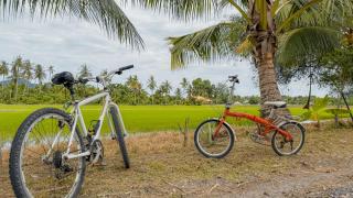 Kampung Nature Stilt House with Paddy Field View - Balik Pulau - 6