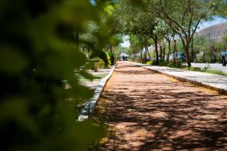 Departamento Palo Verde - Hermosillo - 6