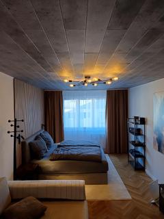 One mile to the spa center - Karlovy Vary - 5